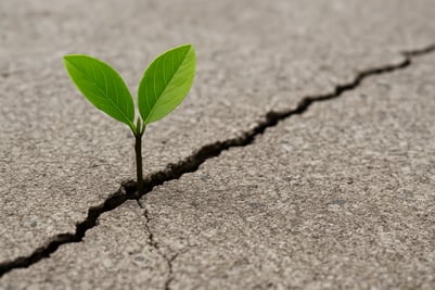 ChatGPT Image Dec 2, 2025, 08_38_55 AM